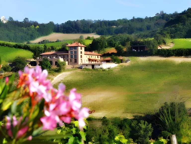 Farm with yard, pool & terrace in Canelli