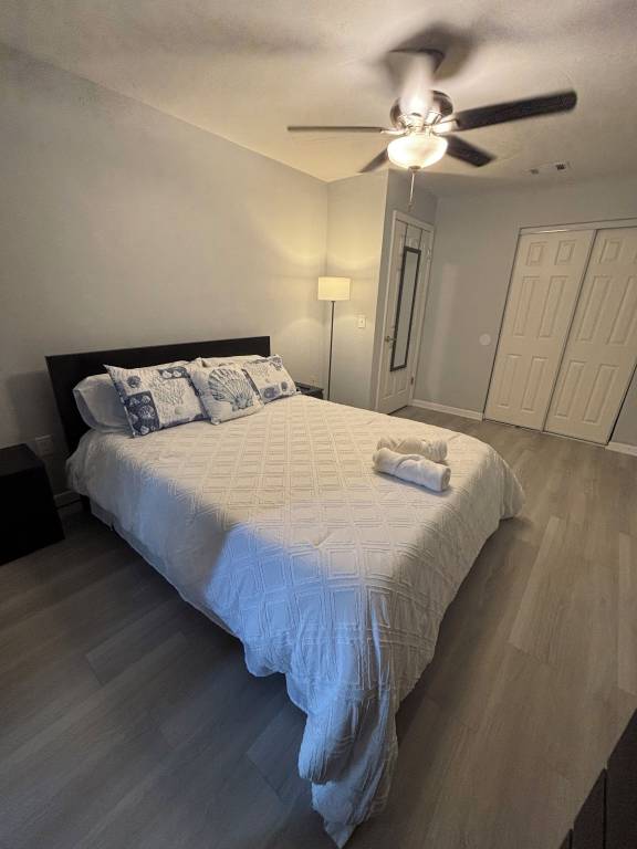 House Gainesville