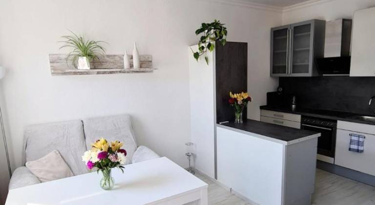 Holiday apartment | Pet-friendly — photo 2