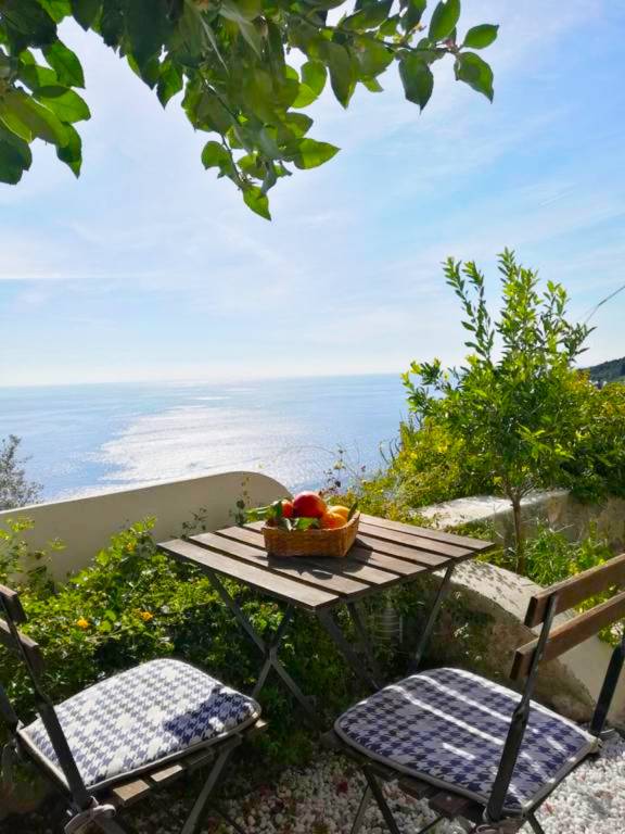Holiday apartment with yard — photo 2