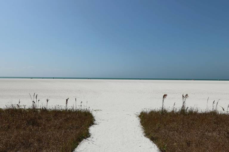 Condo Marco Island