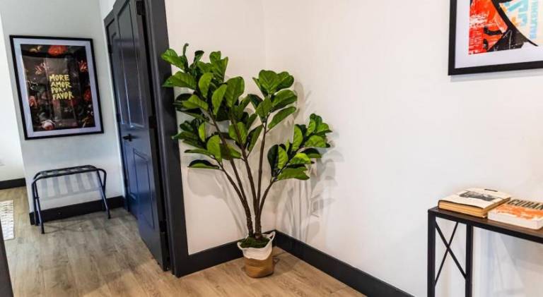 Holiday apartment | Good for workation | Dogs allowed — photo 4