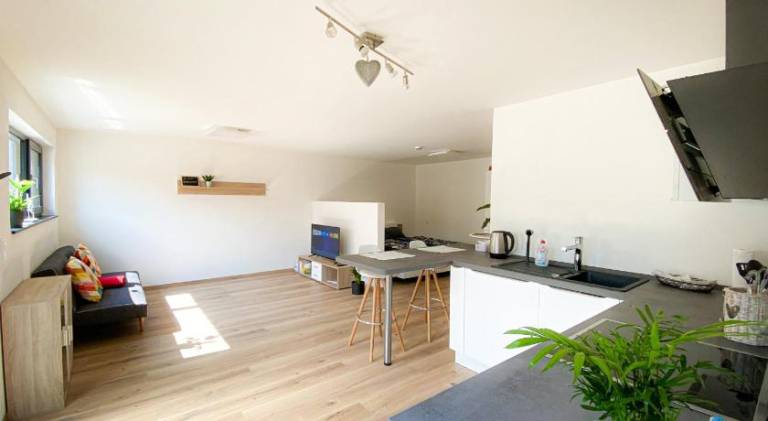 Beautiful apartment | Dogs allowed — photo 4