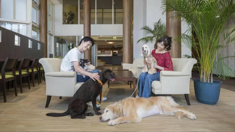 Izu-Kogen Wan Wan Paradise Condominium — photo 5