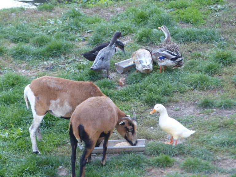 95 m&sup2; Ferienwohnung