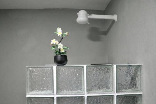 foto8