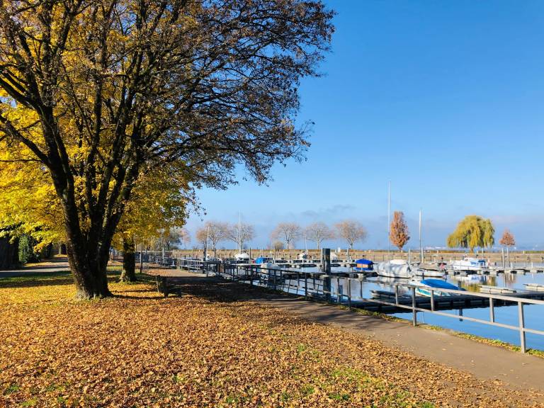 Ferienwohnung Bregenz