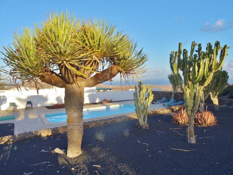 Huis Teguise