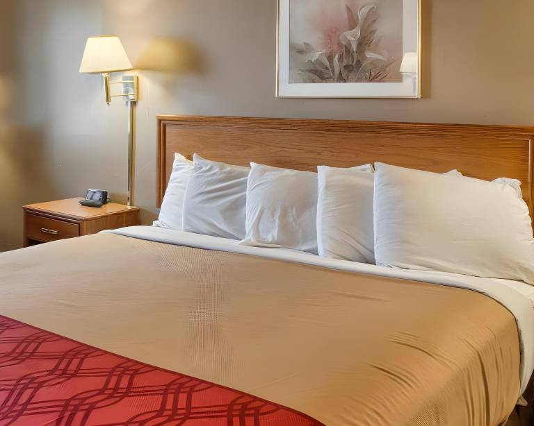 Brentwood Inn Richmond South — photo 5