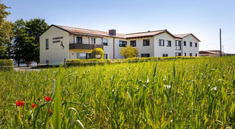 Ferienwohnung Wertheim