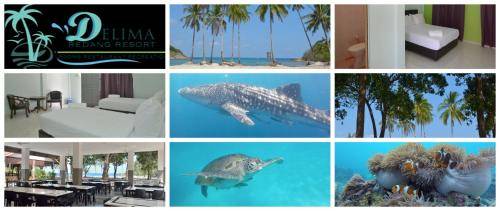 Resort Redang Island