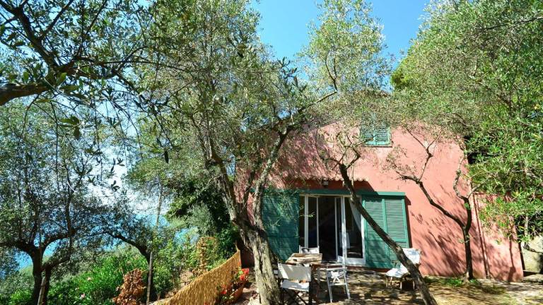 Ferienhaus  Lerici
