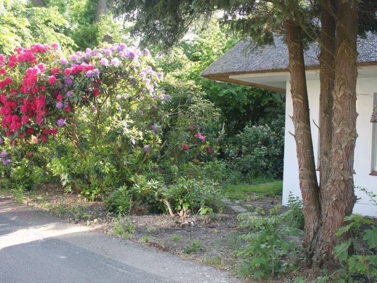foto12