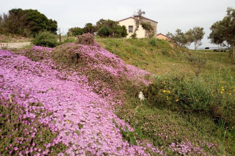 Agriturismo La Maddalena