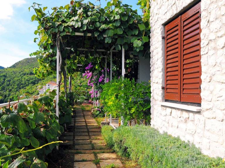 Apartment with grill, patio & yard | Sea view | Pet-friendly — photo 5