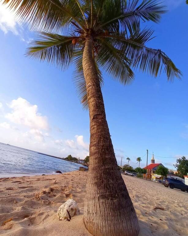Bed & Breakfast Port-Louis
