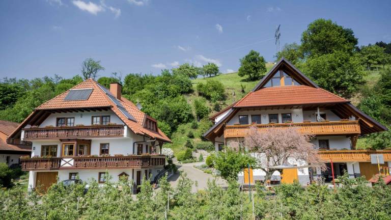 Ferienwohnung Haslach im Kinzigtal