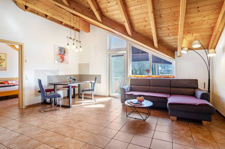 Apartment 'Baumkrone' with Shared Garden, Balcony and Wi-Fi in Konstanz