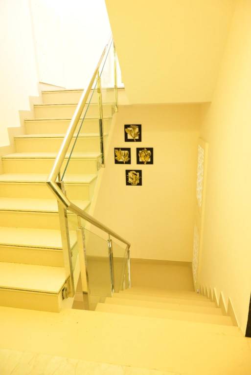 foto8