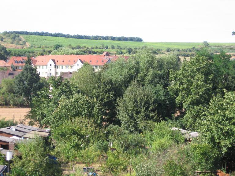 foto23