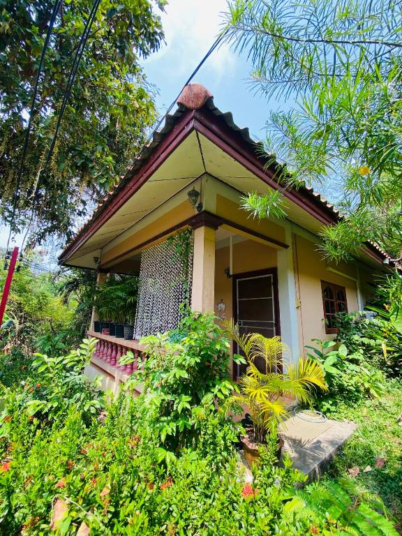 Cosy Rose beachfront bungalow — photo 4
