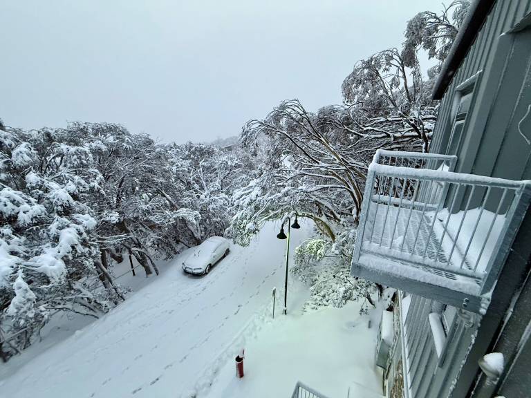 House Mount Buller