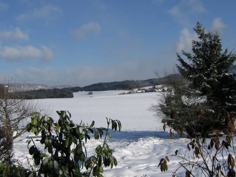 foto5