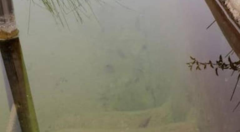 foto30