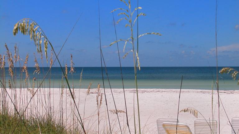Ferienhaus Siesta Key
