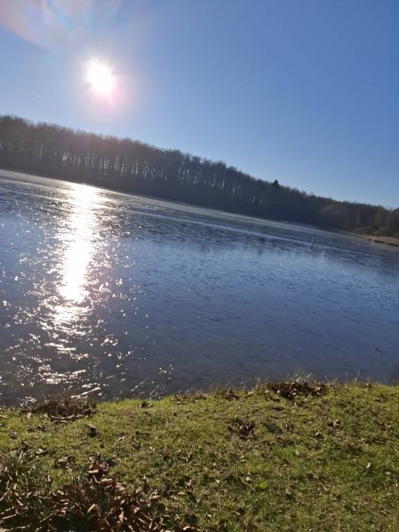 foto11