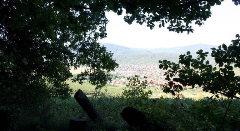 foto17