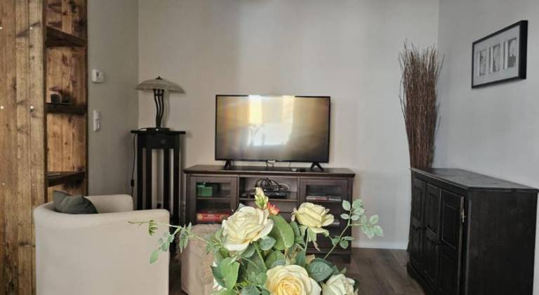 Wonderful holiday apartment | Pet-friendly in Leipzig