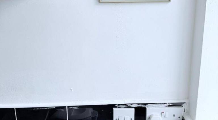 Rental apartment | Pets are welcome — photo 3