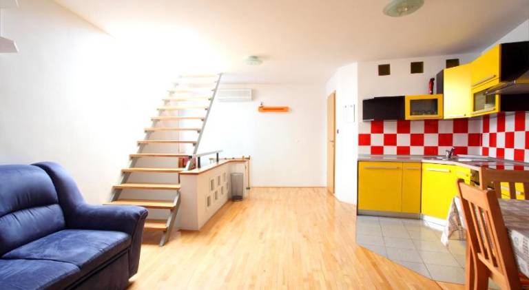 Holiday apartment | Pets are welcome — photo 3