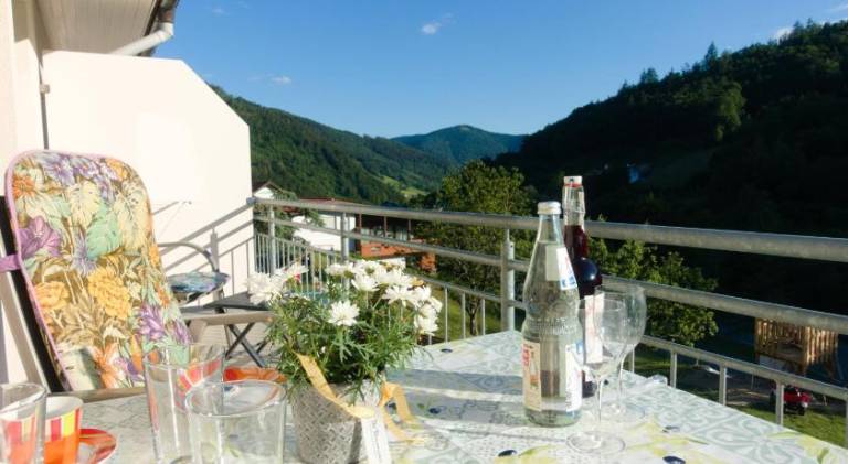 Steiert Panorama Apartments Todtnau — photo 4