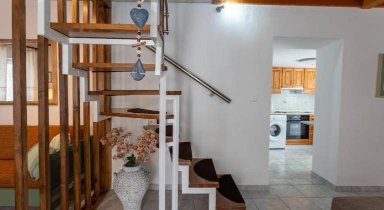 Beautiful house | Dogs allowed — photo 4