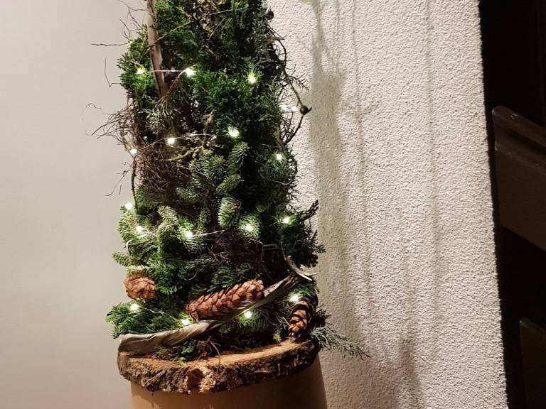 foto3
