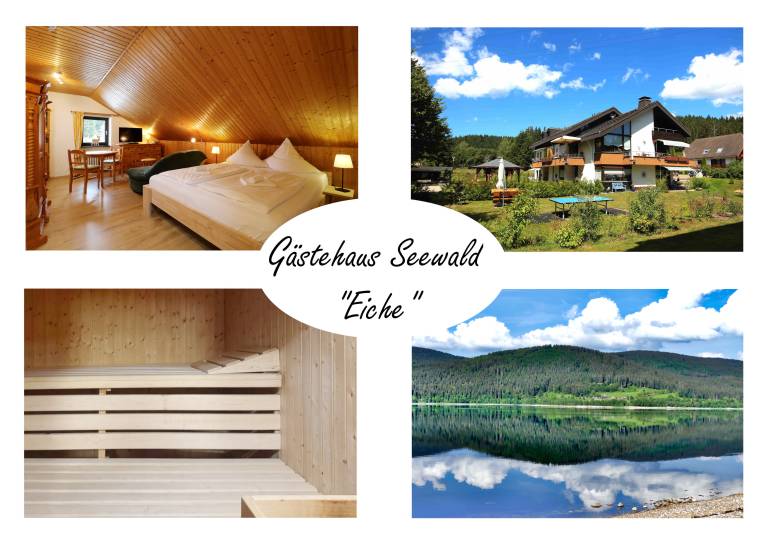 Ferienwohnung Schluchsee