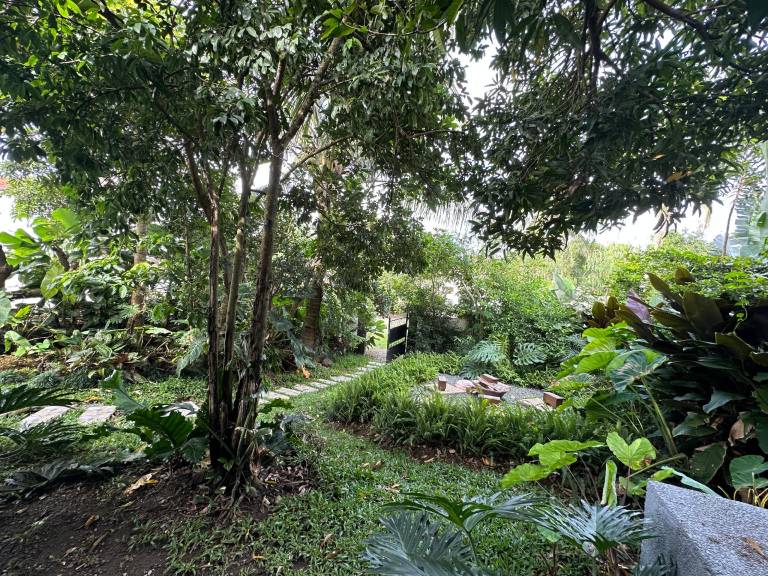 foto41