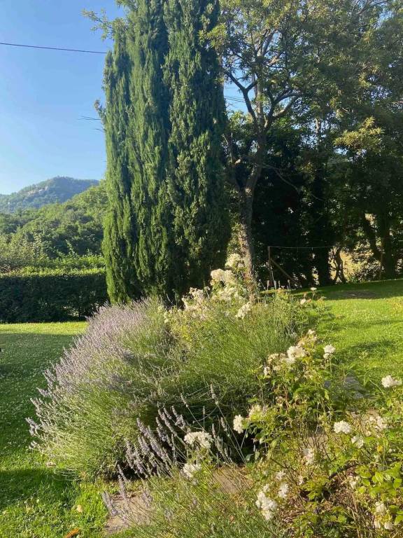 foto41