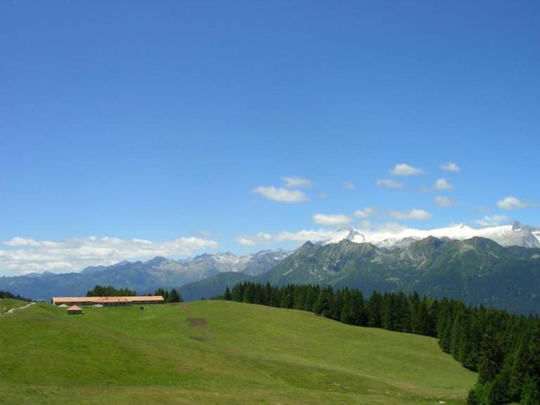 foto14
