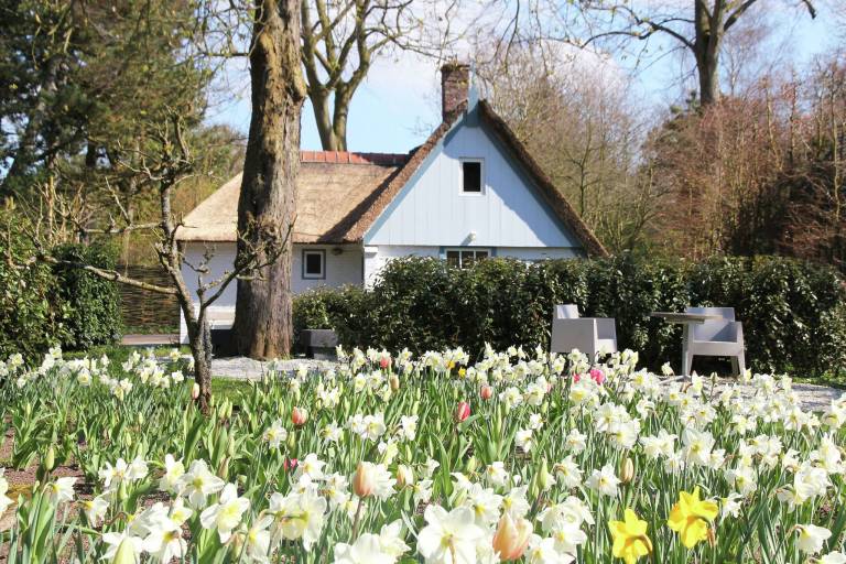 Ferienhaus Bergen aan Zee