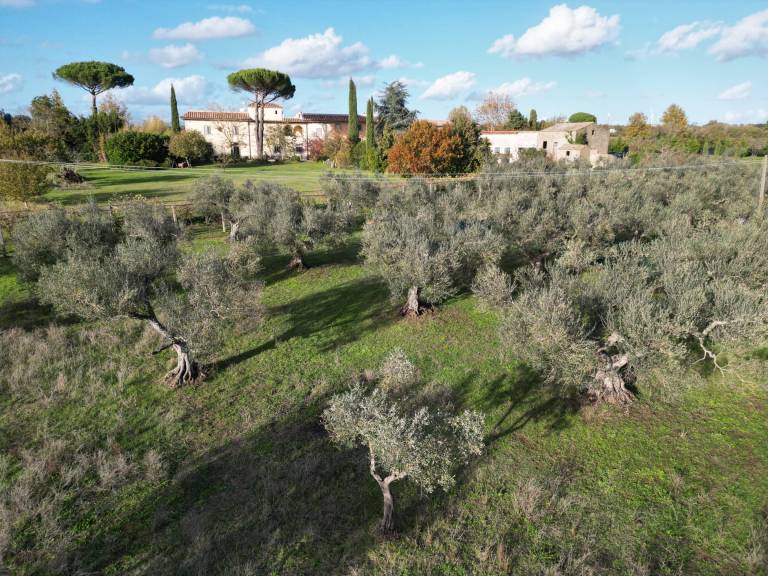 Agriturismo Borgo Rinascimento: La casa di Giotto — photo 4