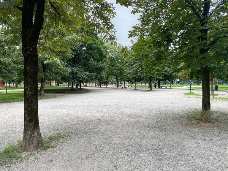 foto42