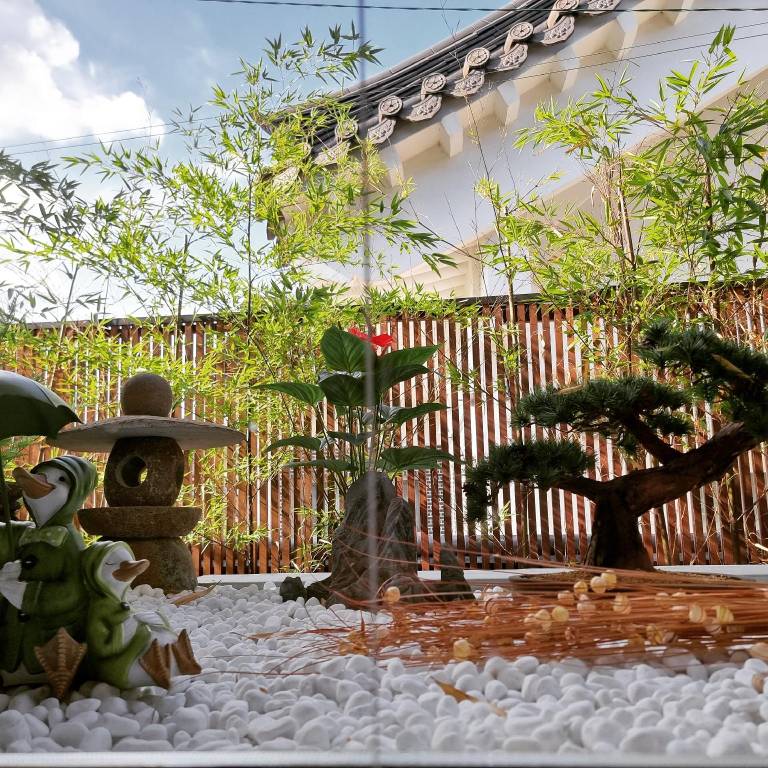 foto48