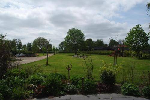 foto6