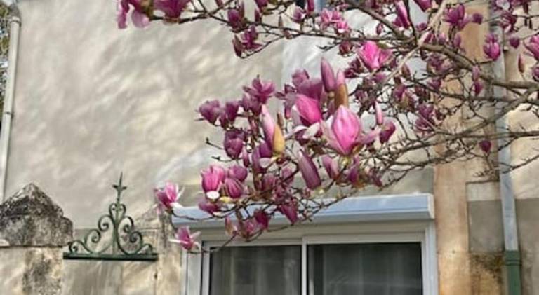 House | Close to Pont Saint-Bénézet in Avignon