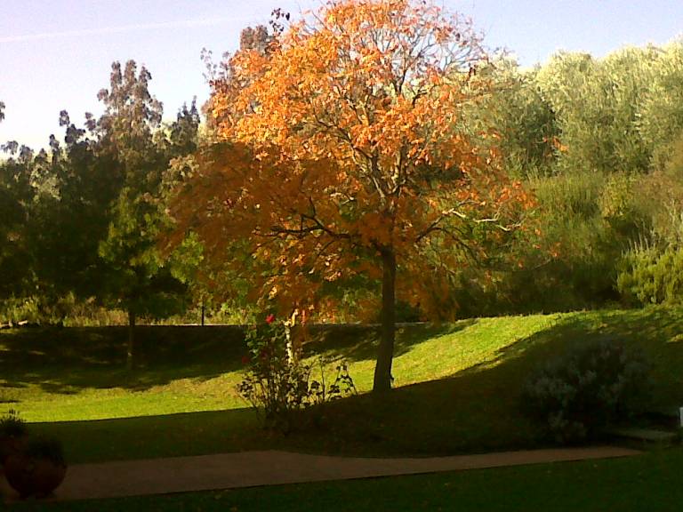 foto19