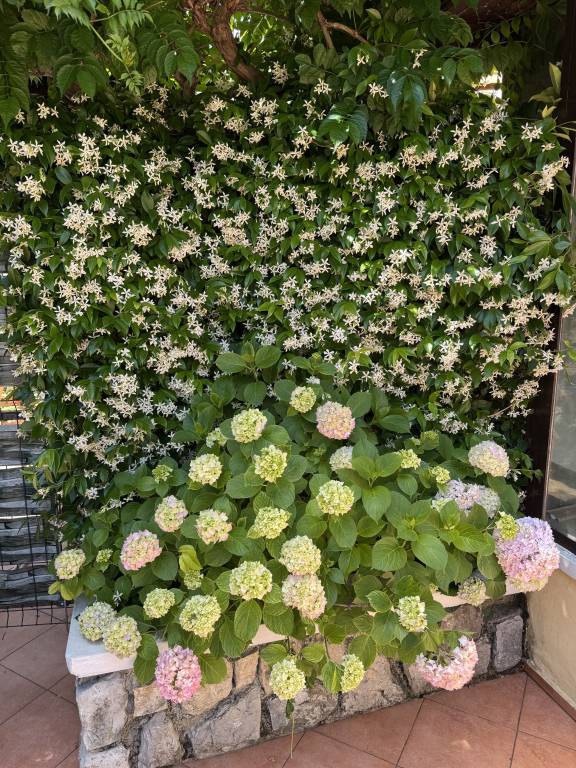 foto20