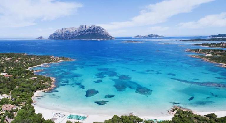 Pleasant apartment | Pets allowed in Olbia